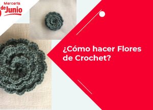 Cómo hacer Flores de Crochet Blog